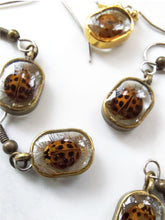 Load image into Gallery viewer, Little Oval Ladybug Earrings
