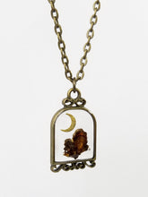 Load image into Gallery viewer, Turkey Tail Mushroom Birdcage Pendant Necklace
