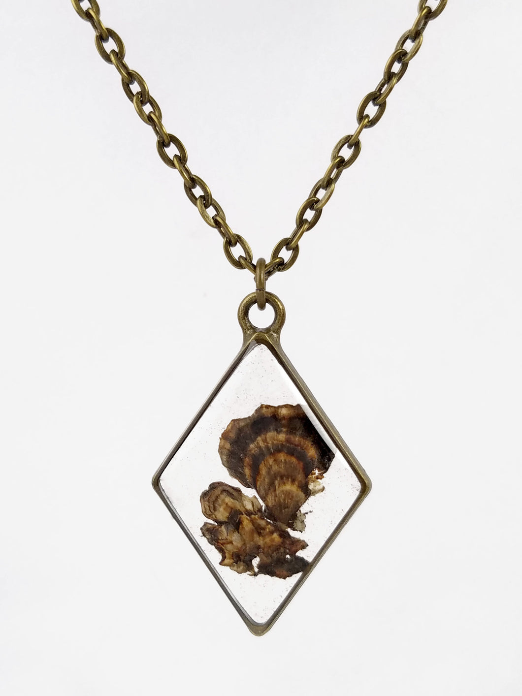 Turkey Tail Mushroom Diamond Bronze Pendant Necklace