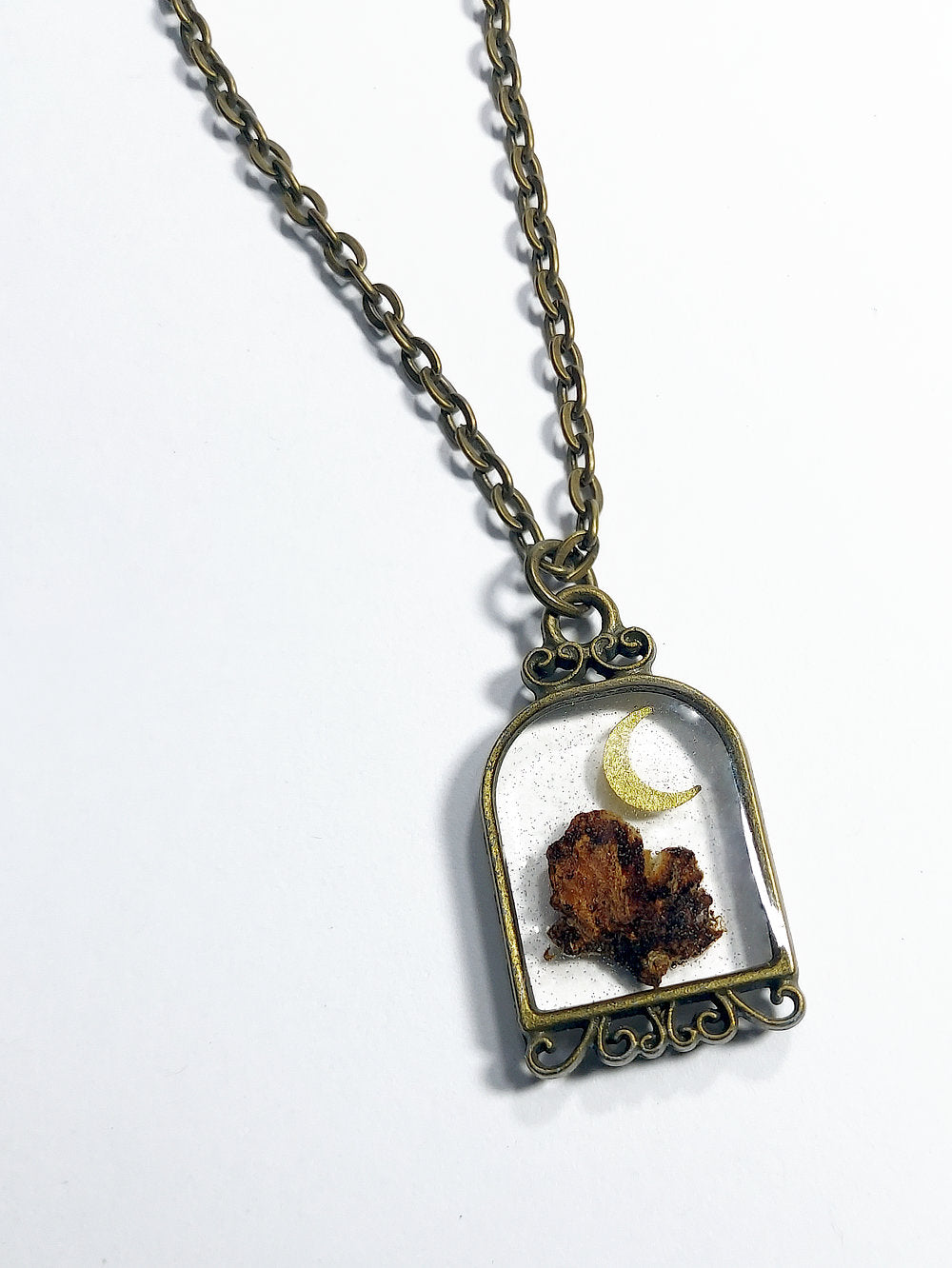 Turkey Tail Mushroom Birdcage Pendant Necklace