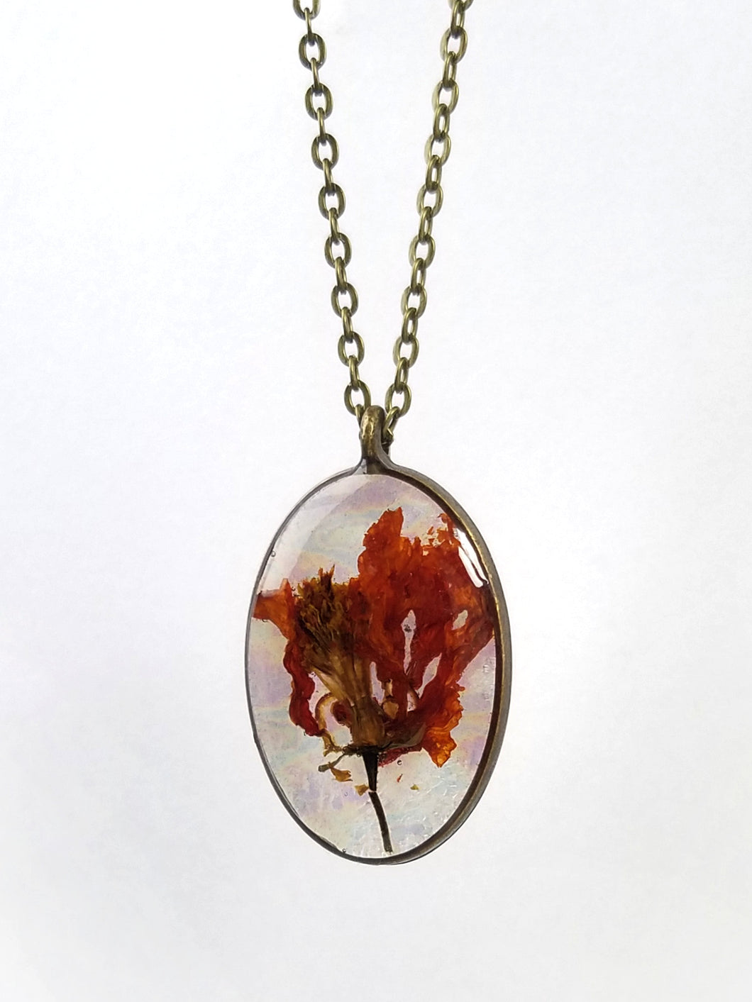 Orange Cosmos Oval Pendant Necklace