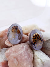Load image into Gallery viewer, Real Ladybug Post Stud Earrings
