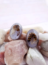 Load image into Gallery viewer, Real Ladybug Post Stud Earrings
