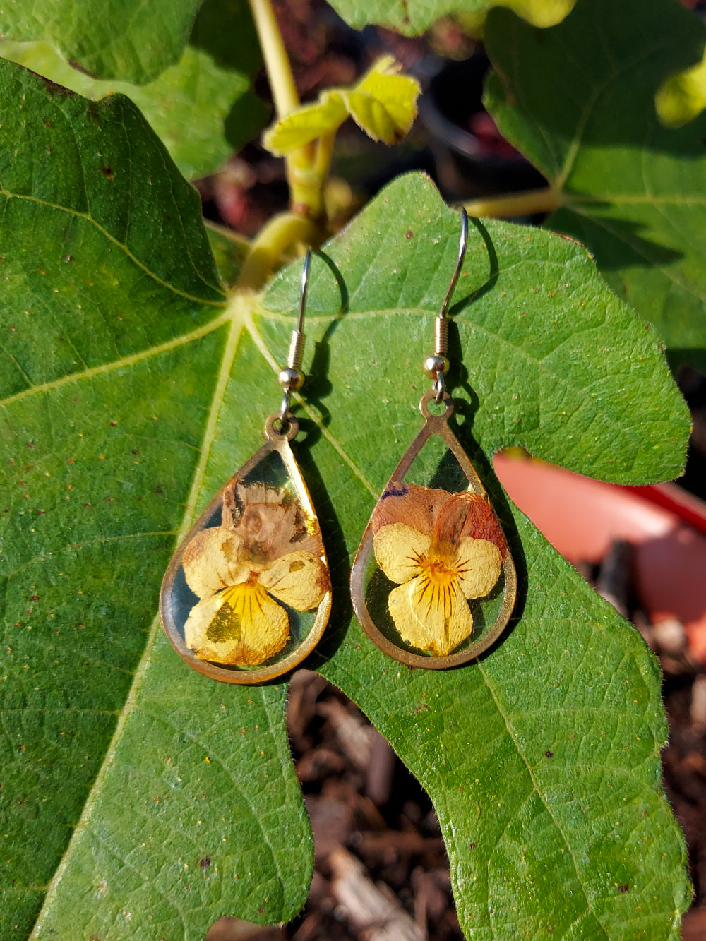 Brass Viola Teardrop Earrings