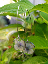 Load image into Gallery viewer, Single Hydrangea Round Marquise Earrings
