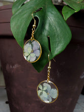 Load image into Gallery viewer, Green &amp; Purple Hydrangea Round Drop Earrings
