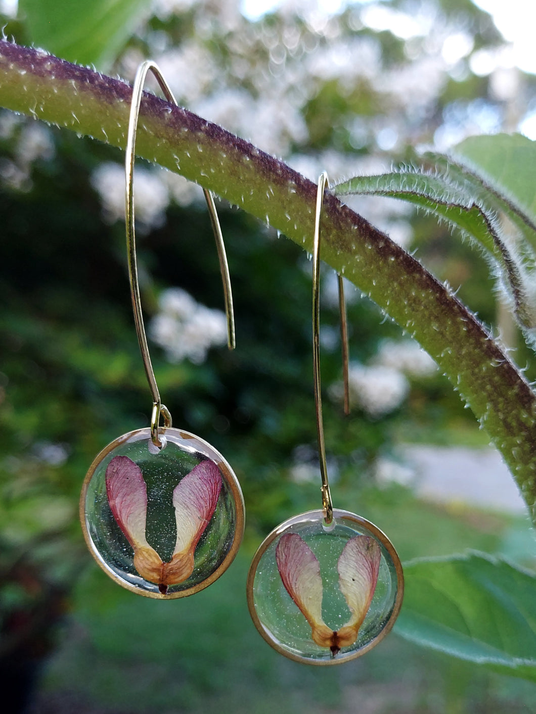 Red Maple Seed Brass Round Marquise Earrings