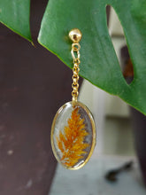 Load image into Gallery viewer, Orange Celosia Brass Oval Ball Stud Earrings
