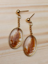 Load image into Gallery viewer, Orange Celosia Brass Oval Ball Stud Earrings
